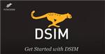 DSIM_video